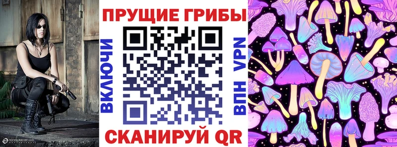 где купить Азов Псилоцибиновые грибы GOLDEN TEACHER